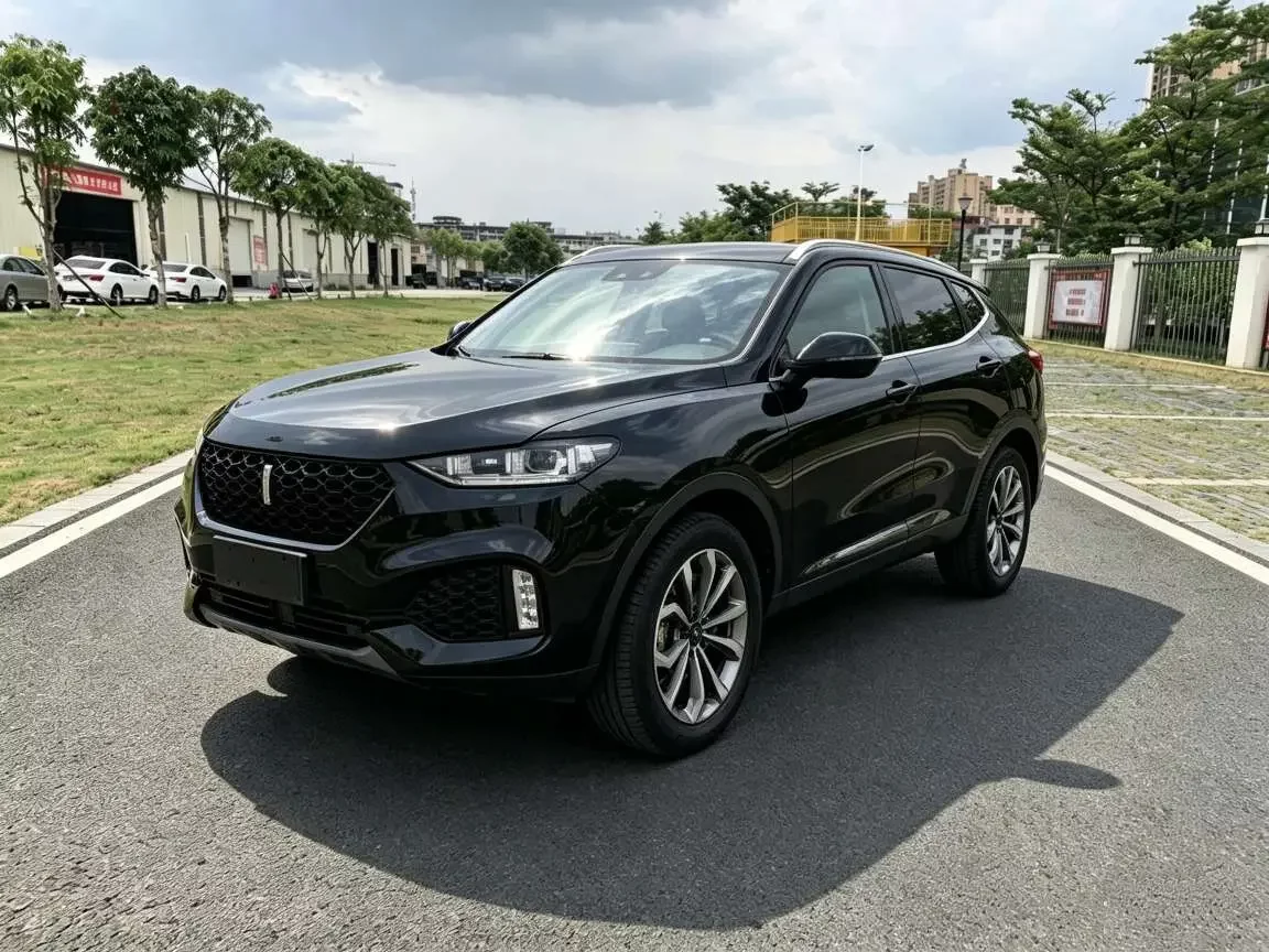 Wey Wei brand VV6