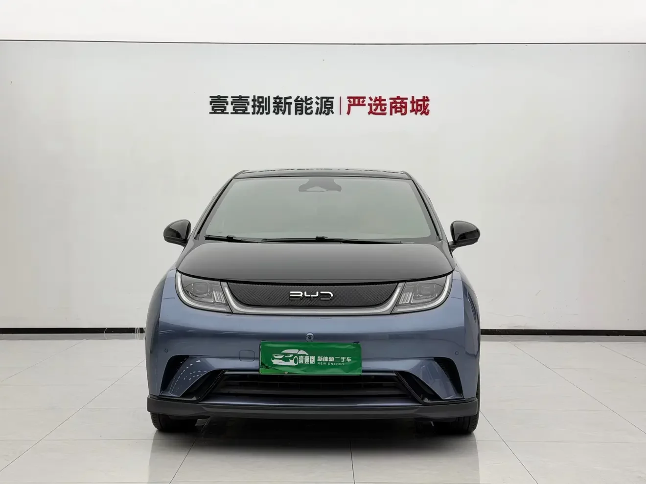 BYD dolphin
