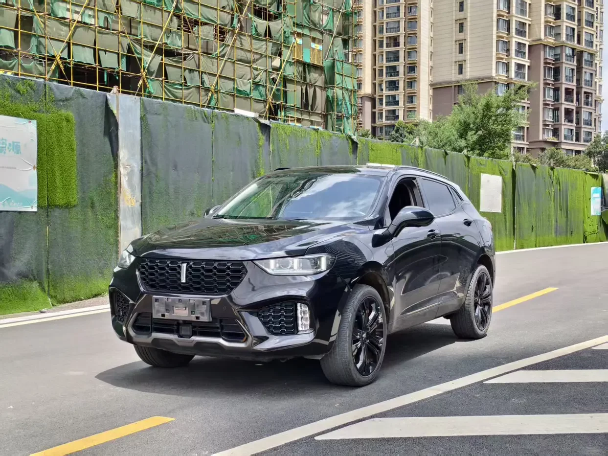 Wey Wei brand VV5