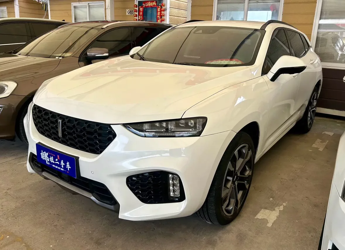 Wey Wei brand VV7