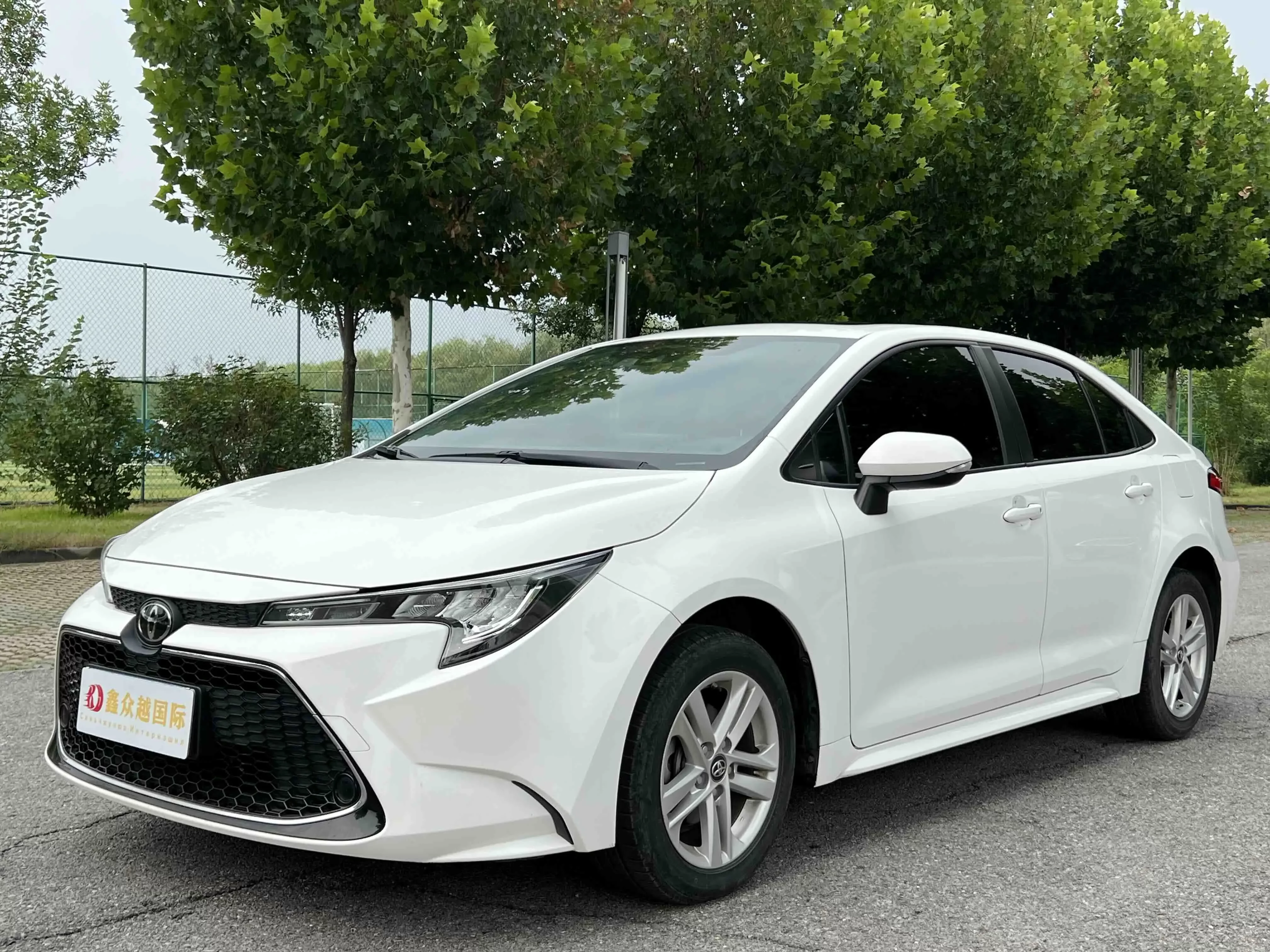 Toyota Levin