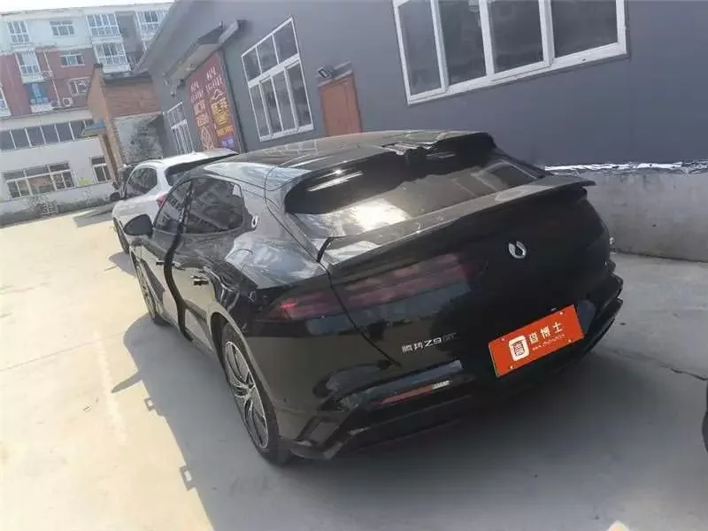 Denza DENGZH9GT DM