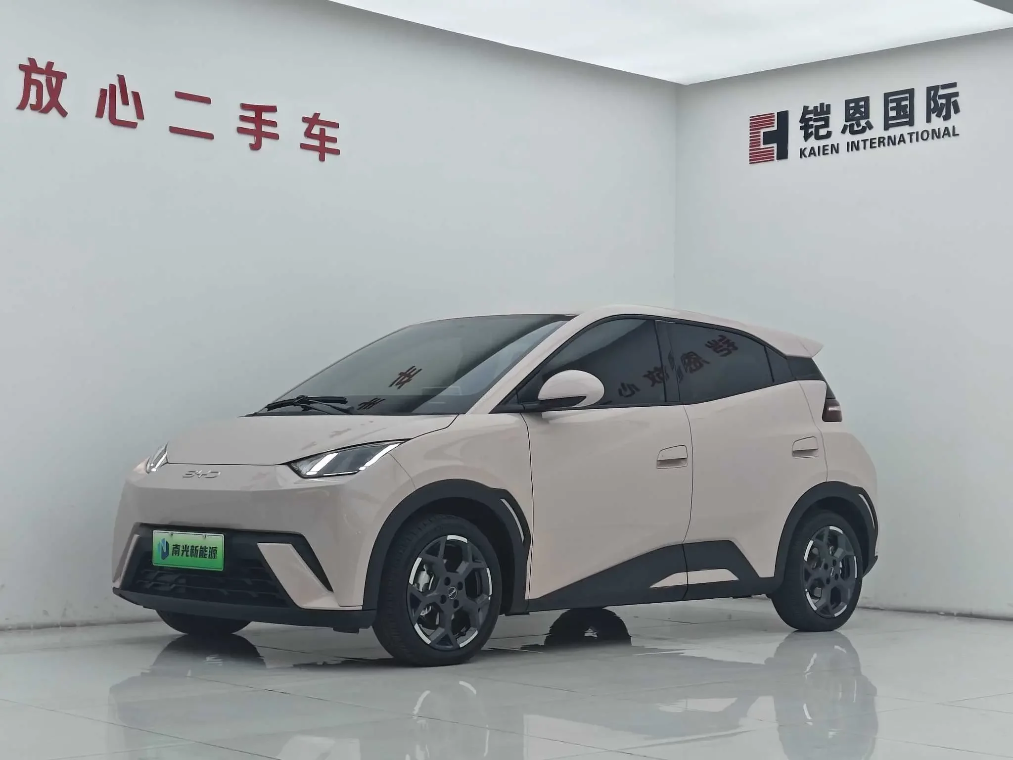 BYD seagull