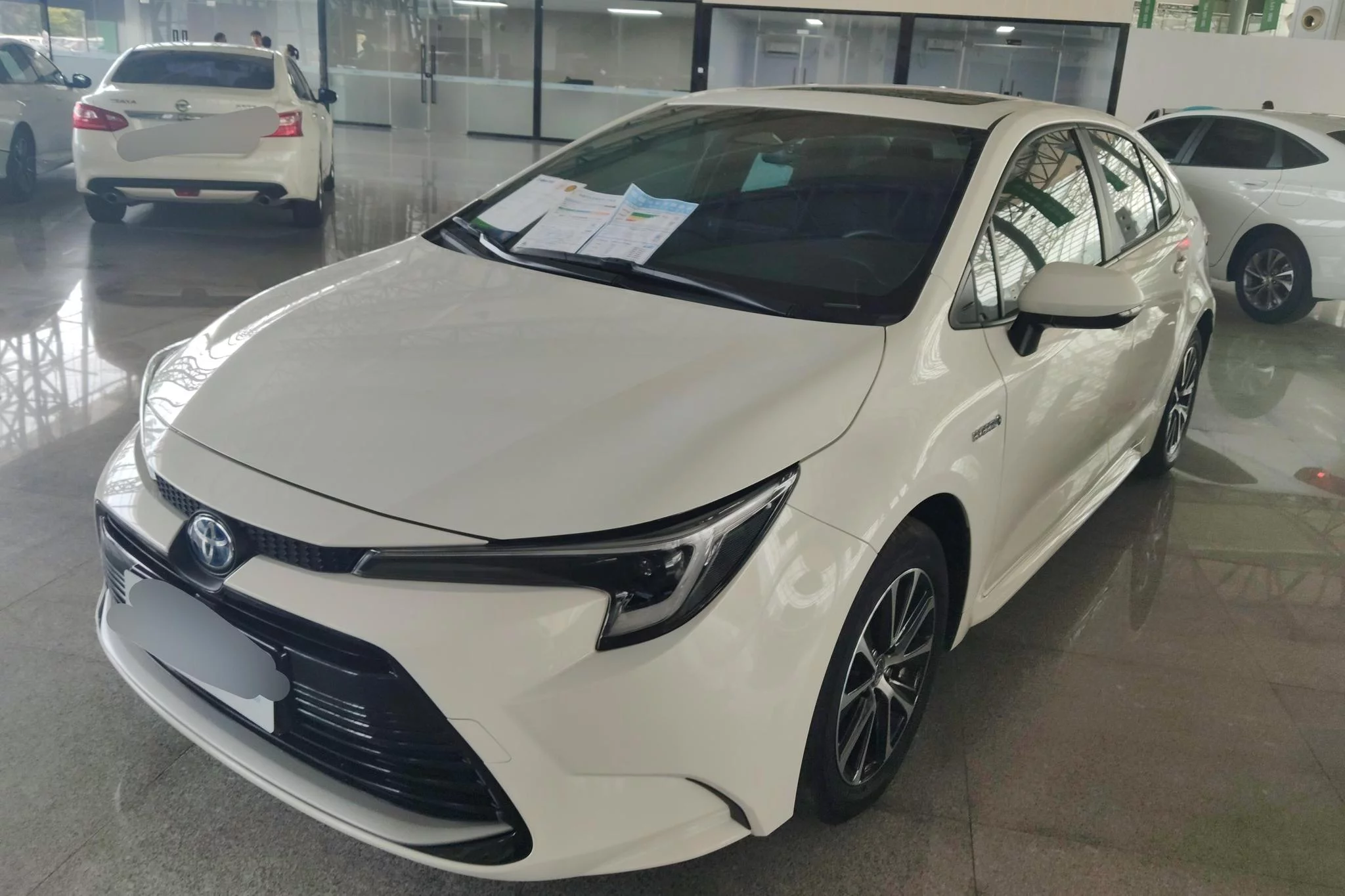 Toyota Levin