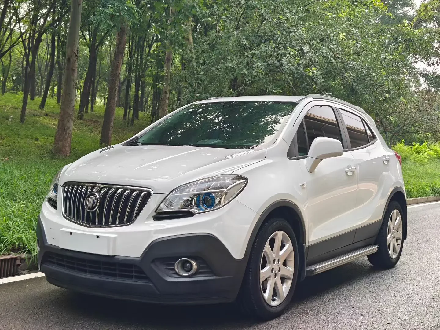 Buick onkola 2013