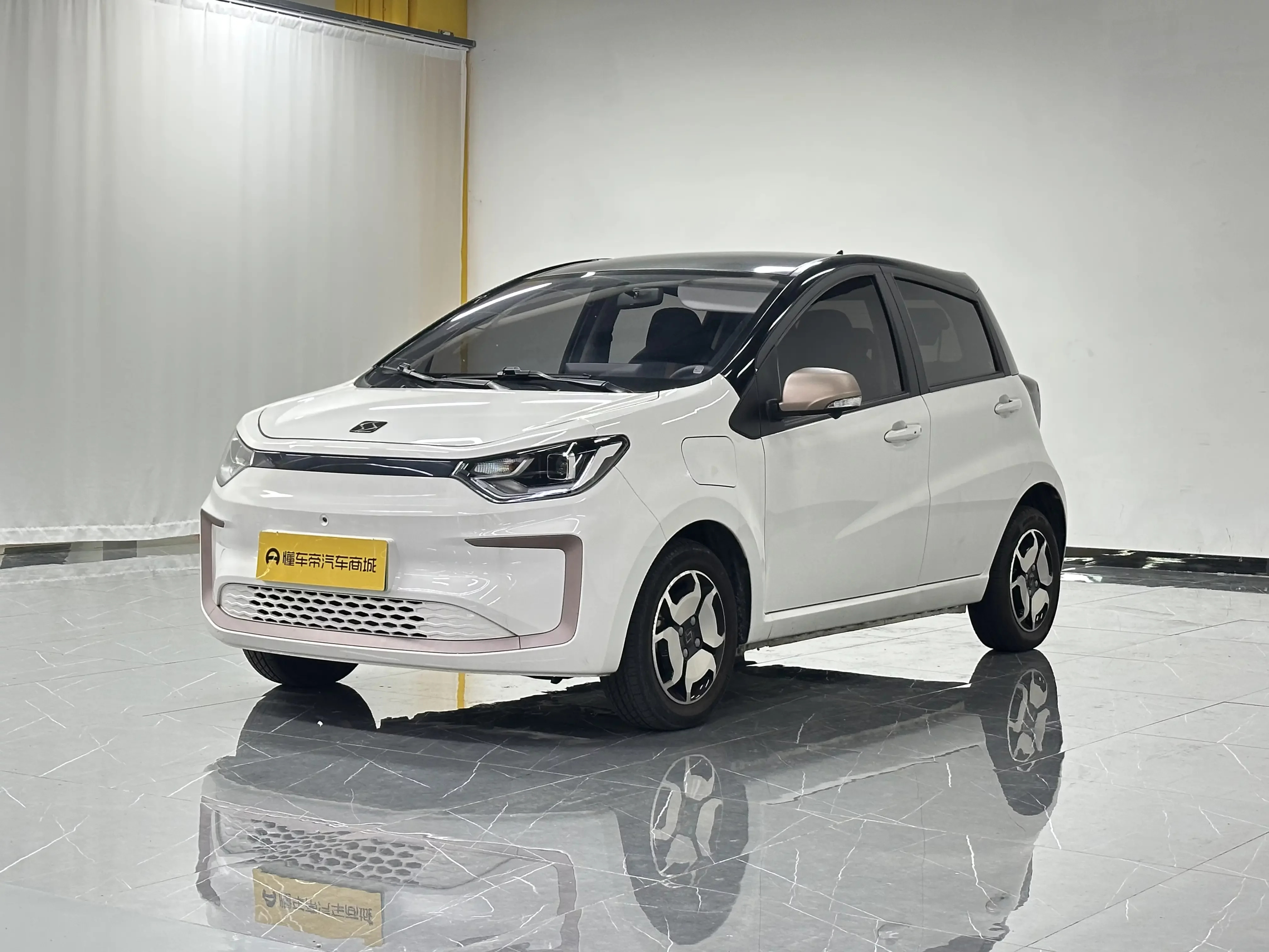 JAC (Sihao) Sihao Flower Fairy 2022