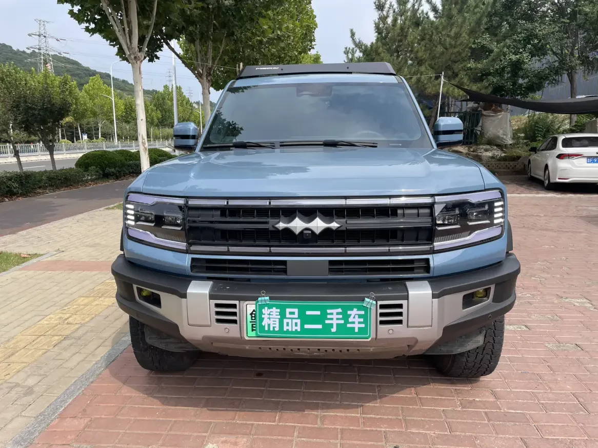 BYD Leopard Leopard 5  из Китая