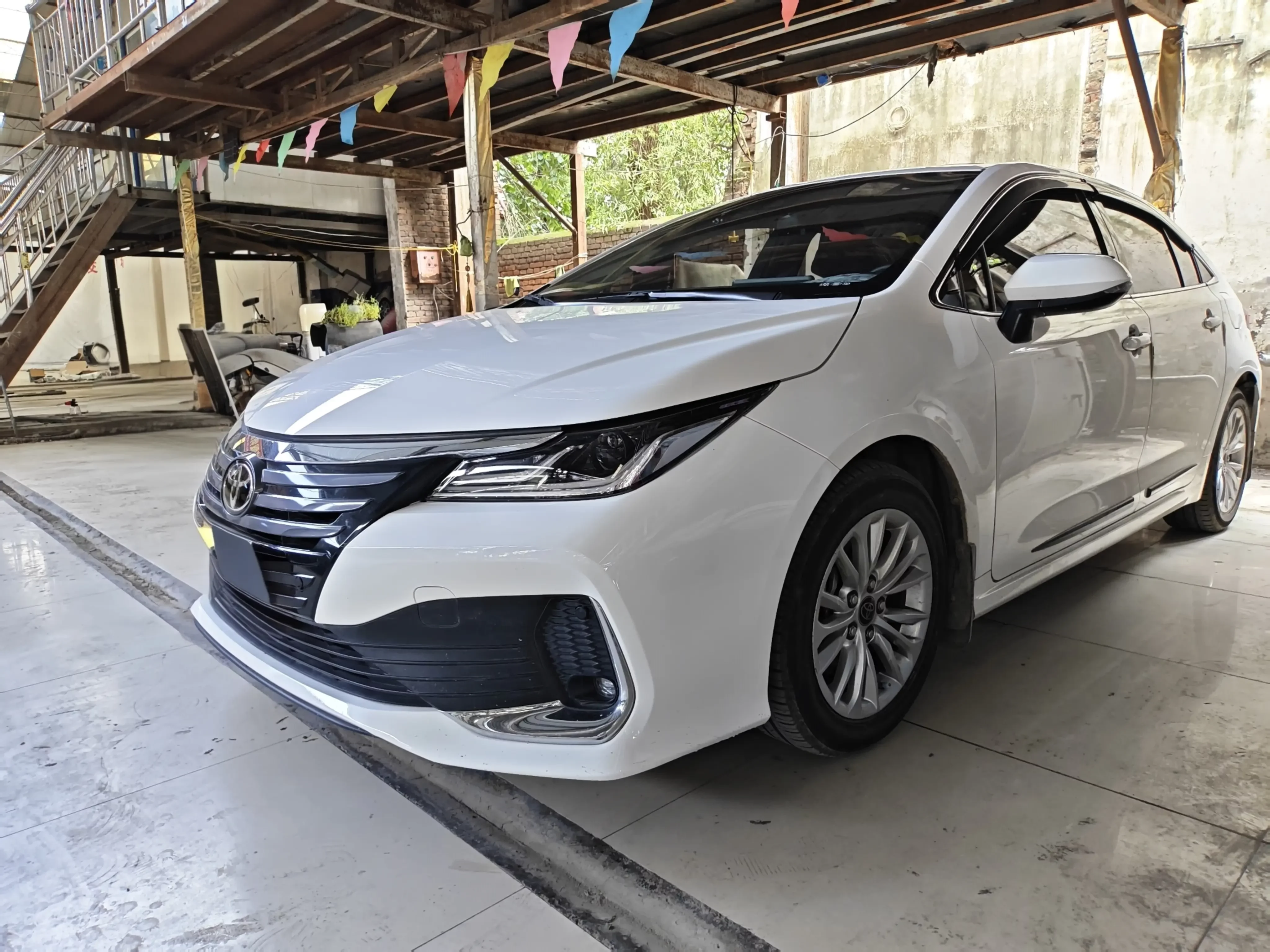 Toyota Asiatic lion 2021