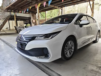 Toyota Asiatic lion