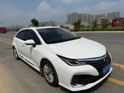 Toyota Asiatic lion