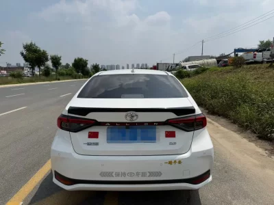 Toyota Asiatic lion
