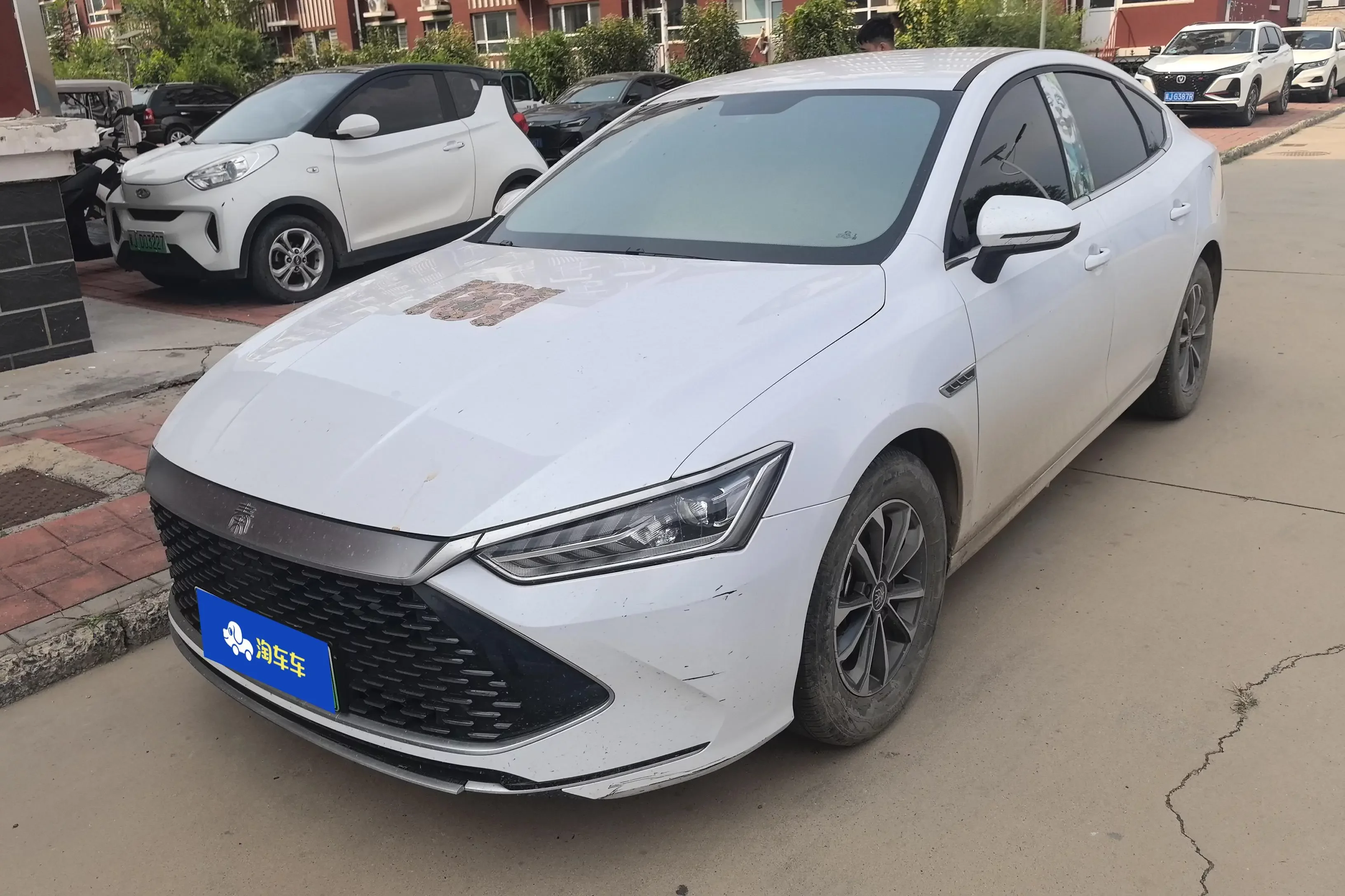 BYD Qin PLUS DM
