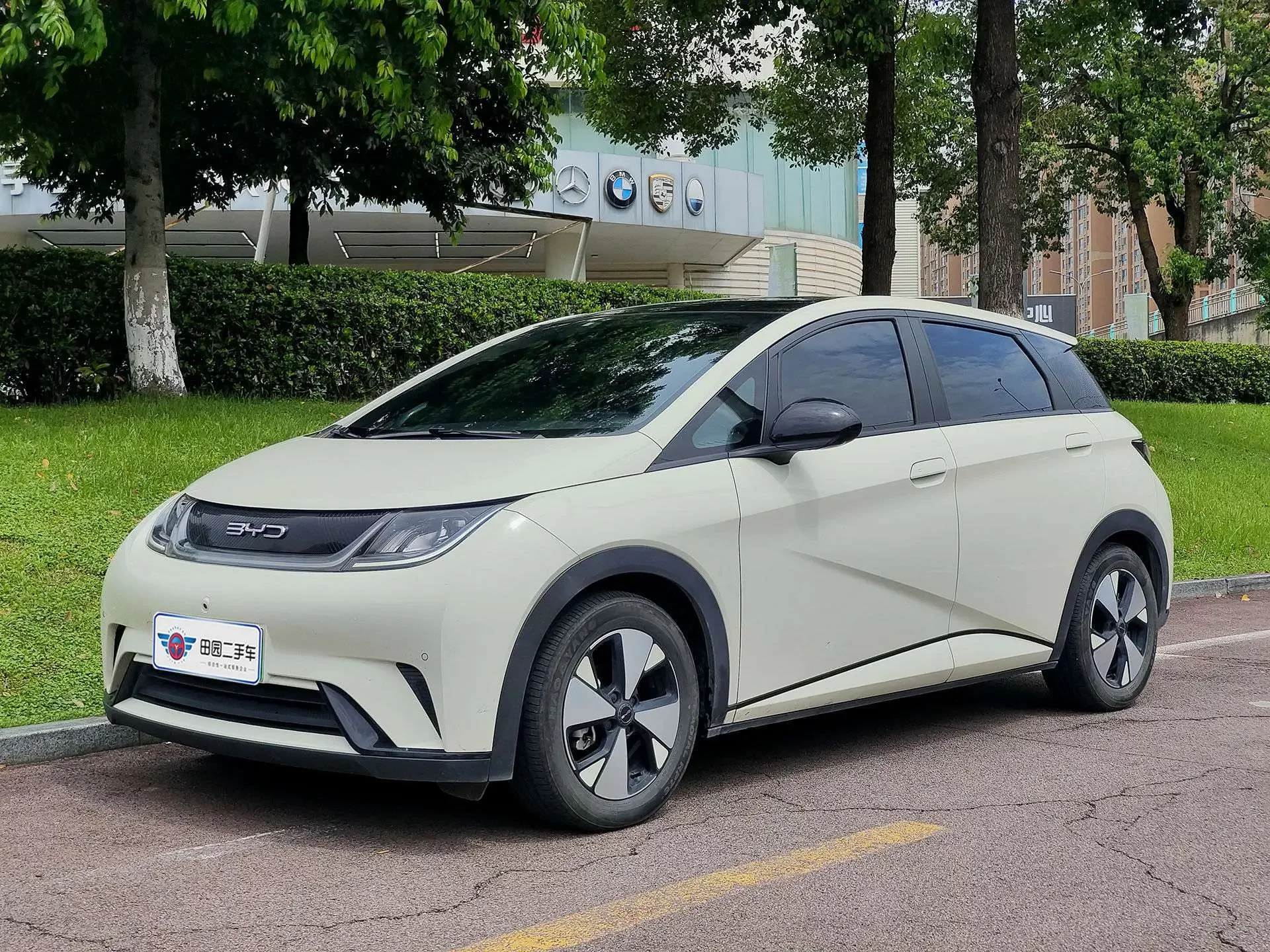 BYD dolphin