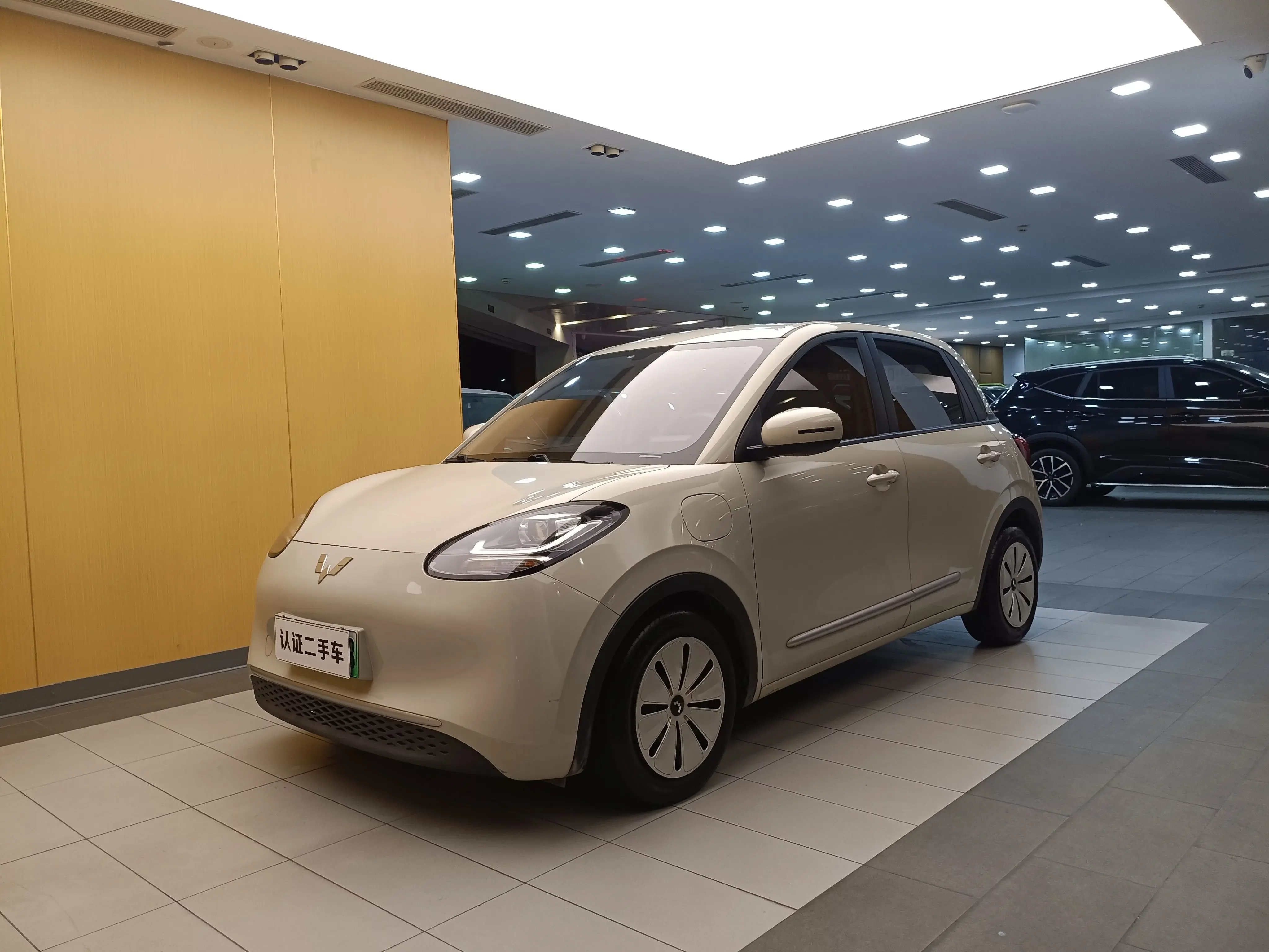Wuling Bingo