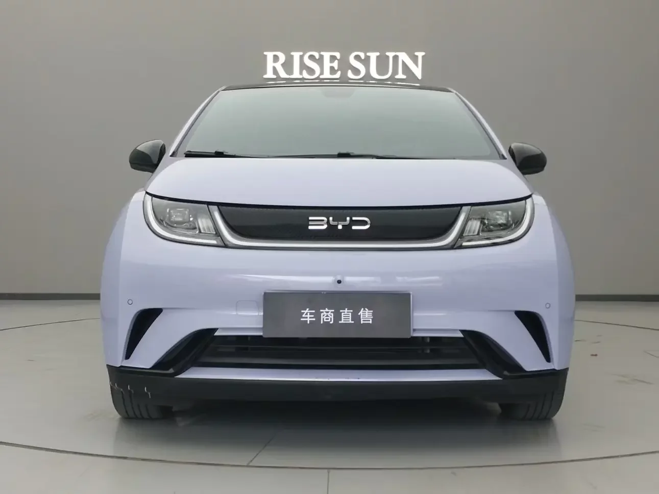 BYD dolphin