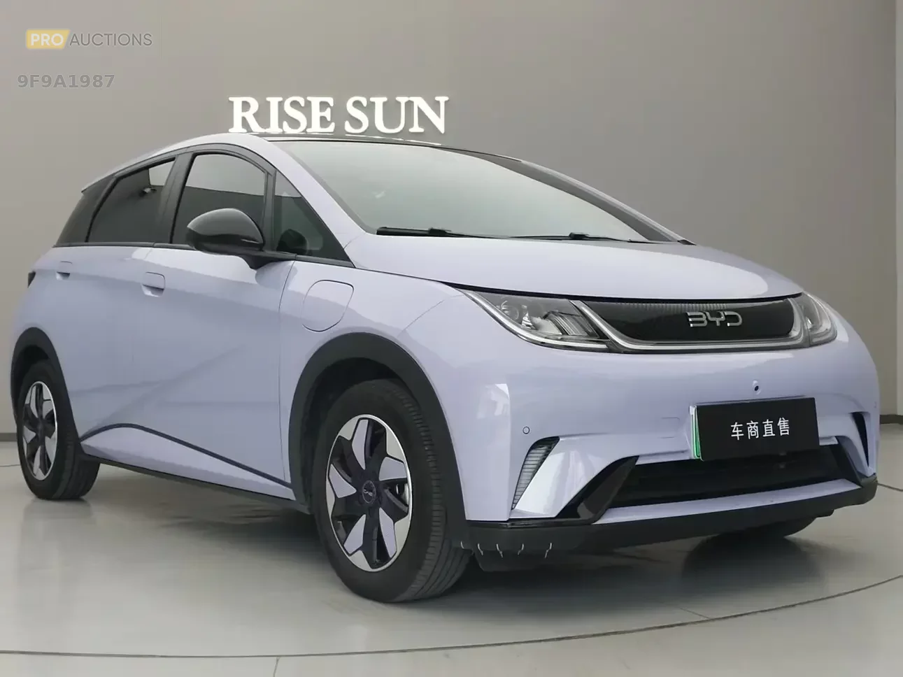 BYD dolphin