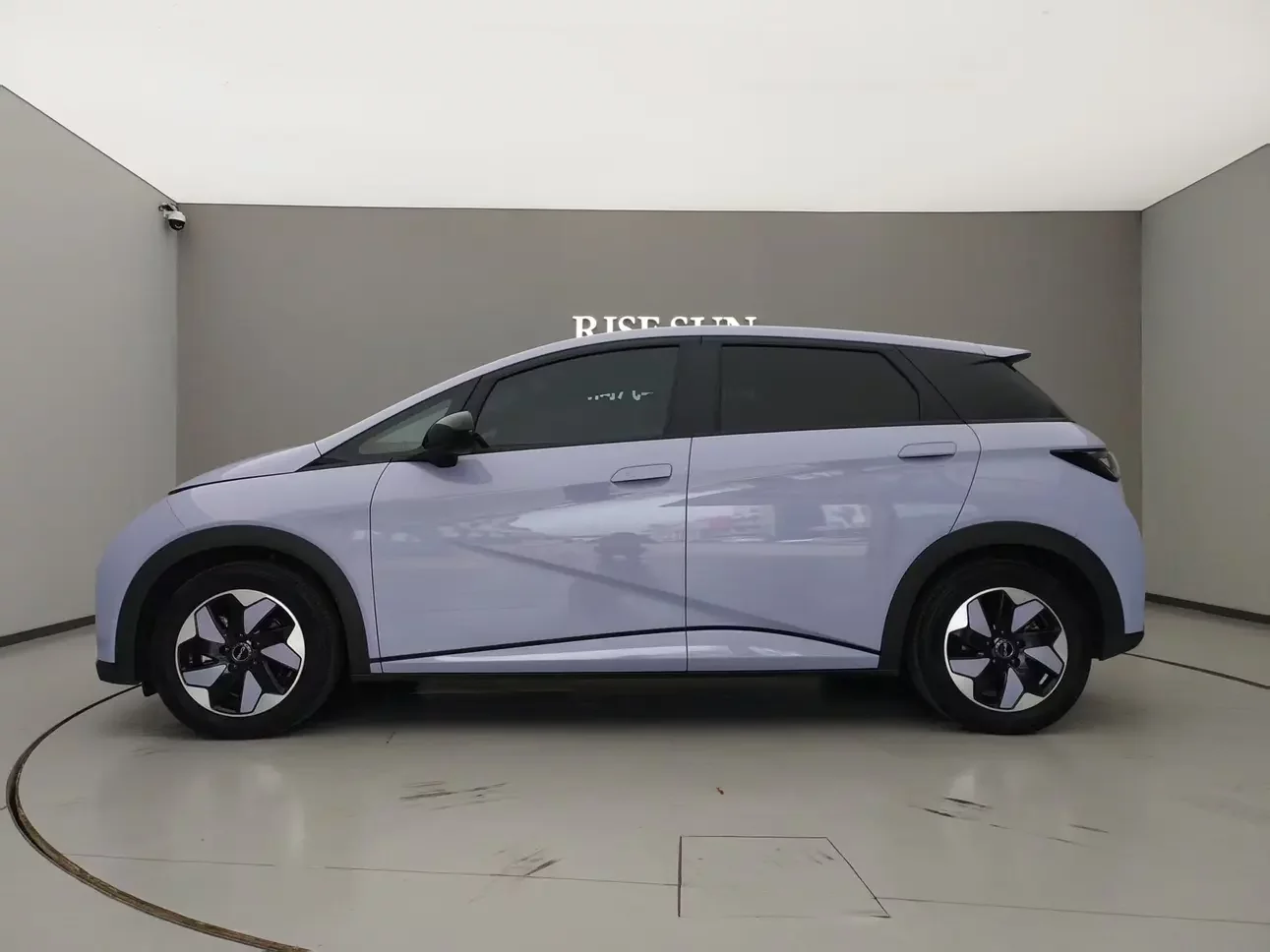 BYD dolphin
