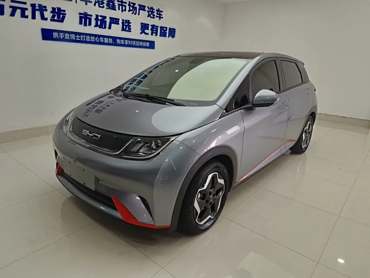 BYD dolphin 2022