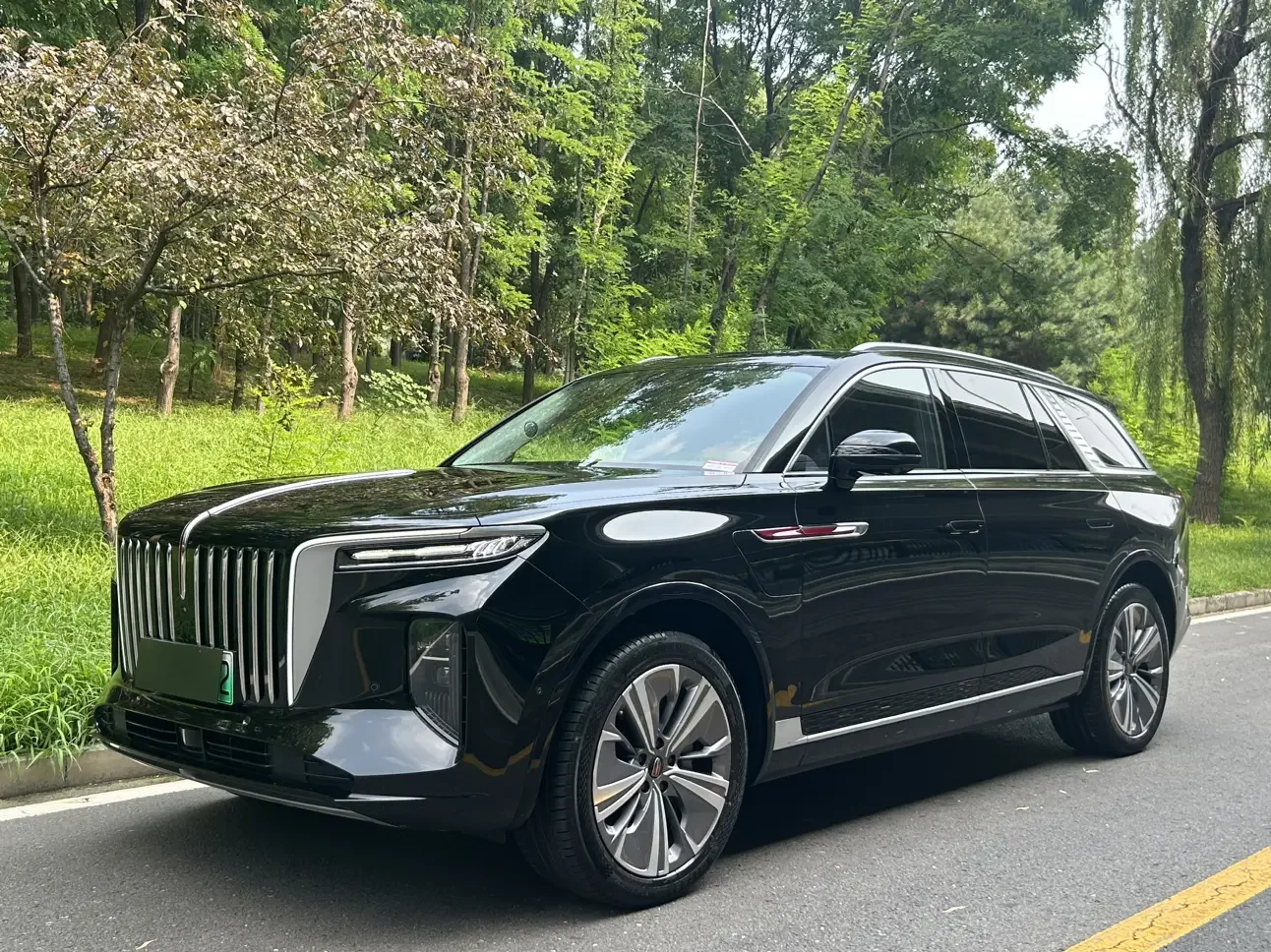 Hongqi E-HS9  из Китая