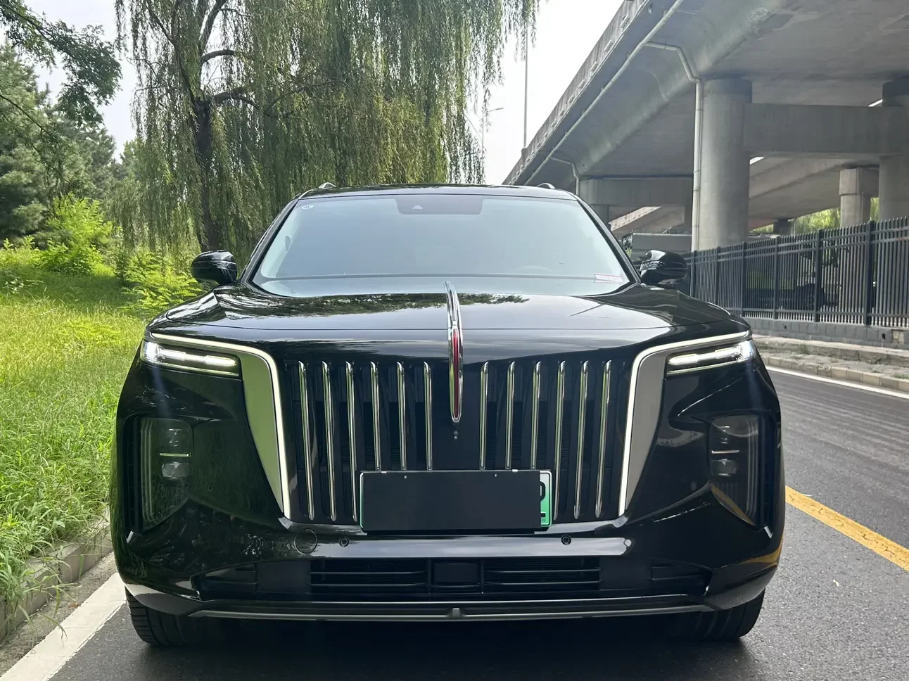 Hongqi E-HS9  из Китая