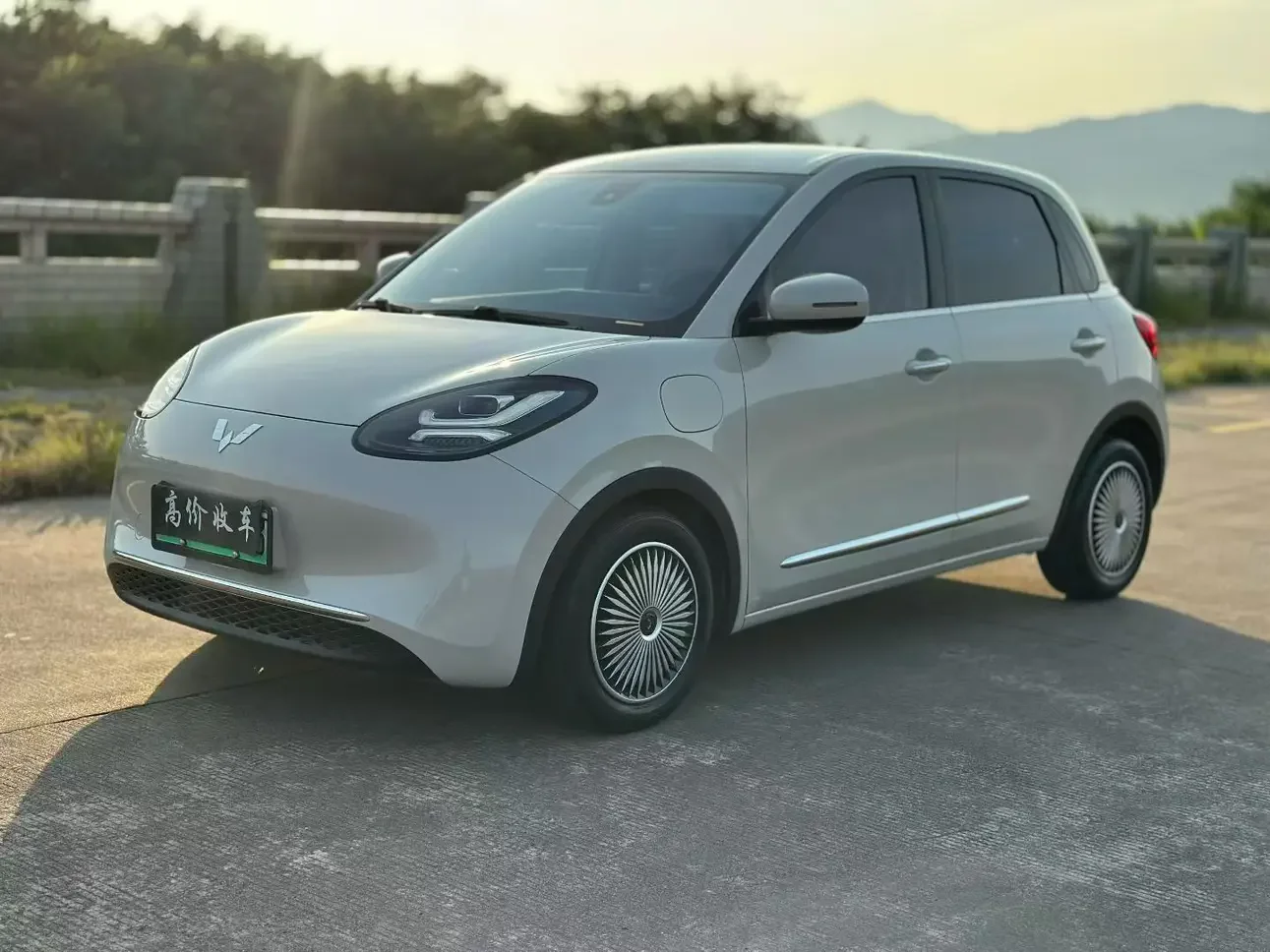 Wuling Bingo