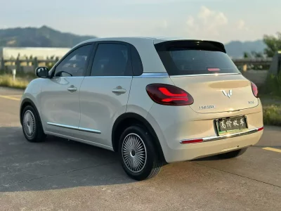 Wuling Bingo