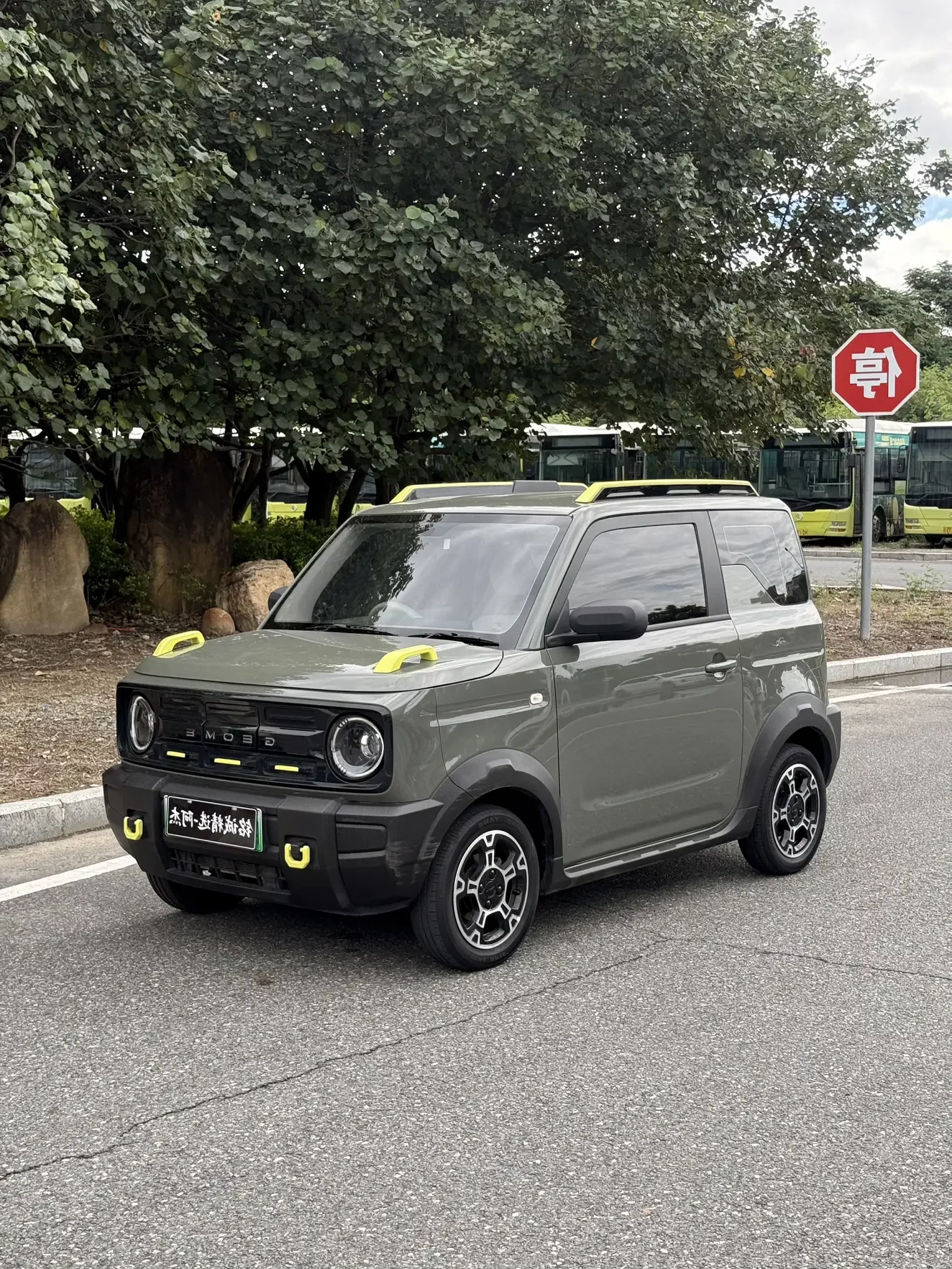 Geely panda 2025
