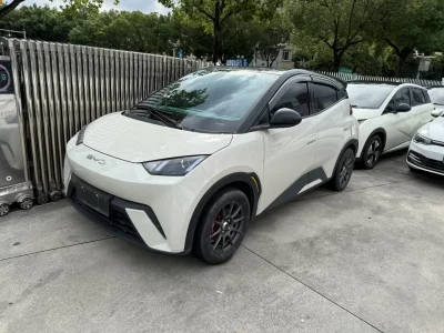 BYD Seagull