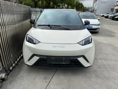 BYD Seagull