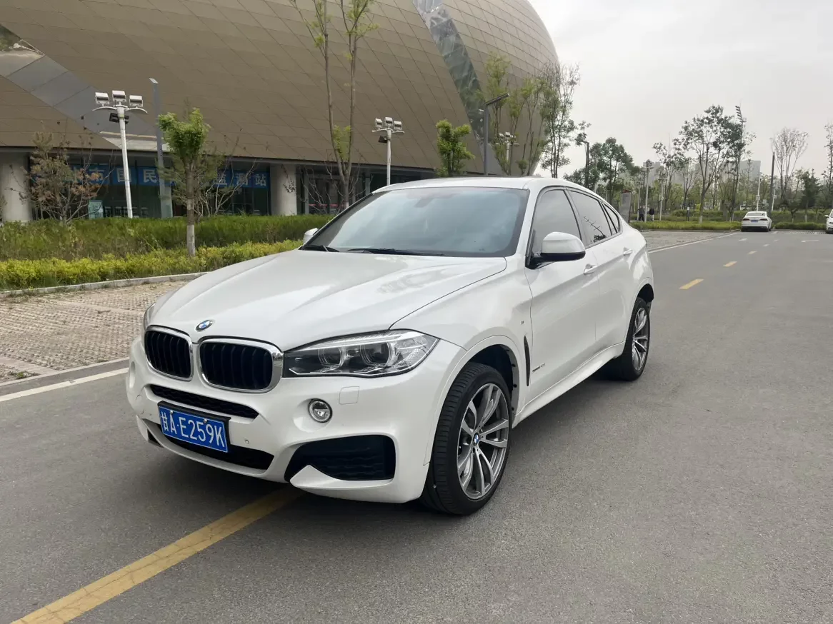 BMW X6 2019