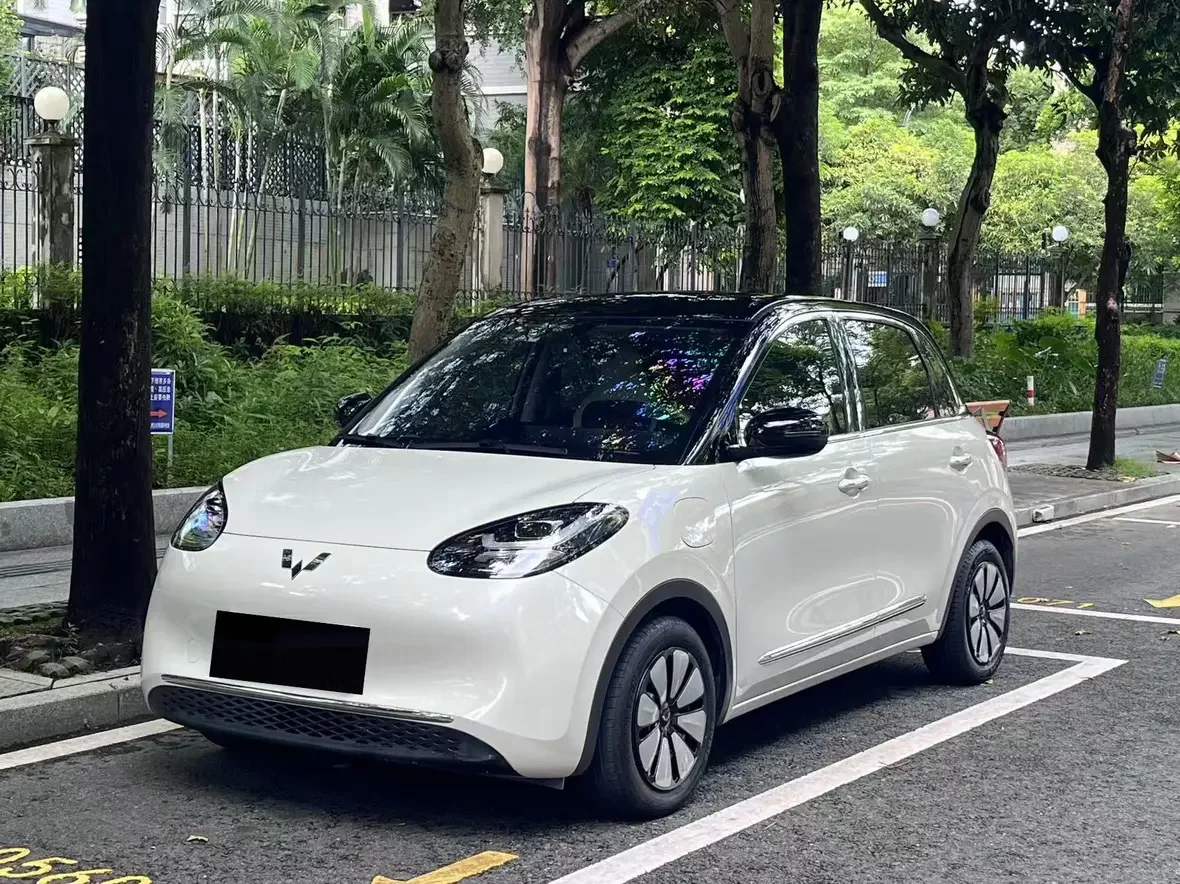 Wuling Bingo 2024