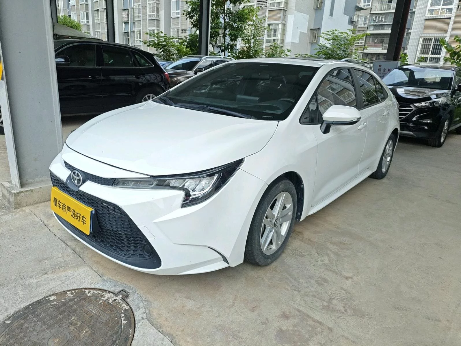 Toyota Levin