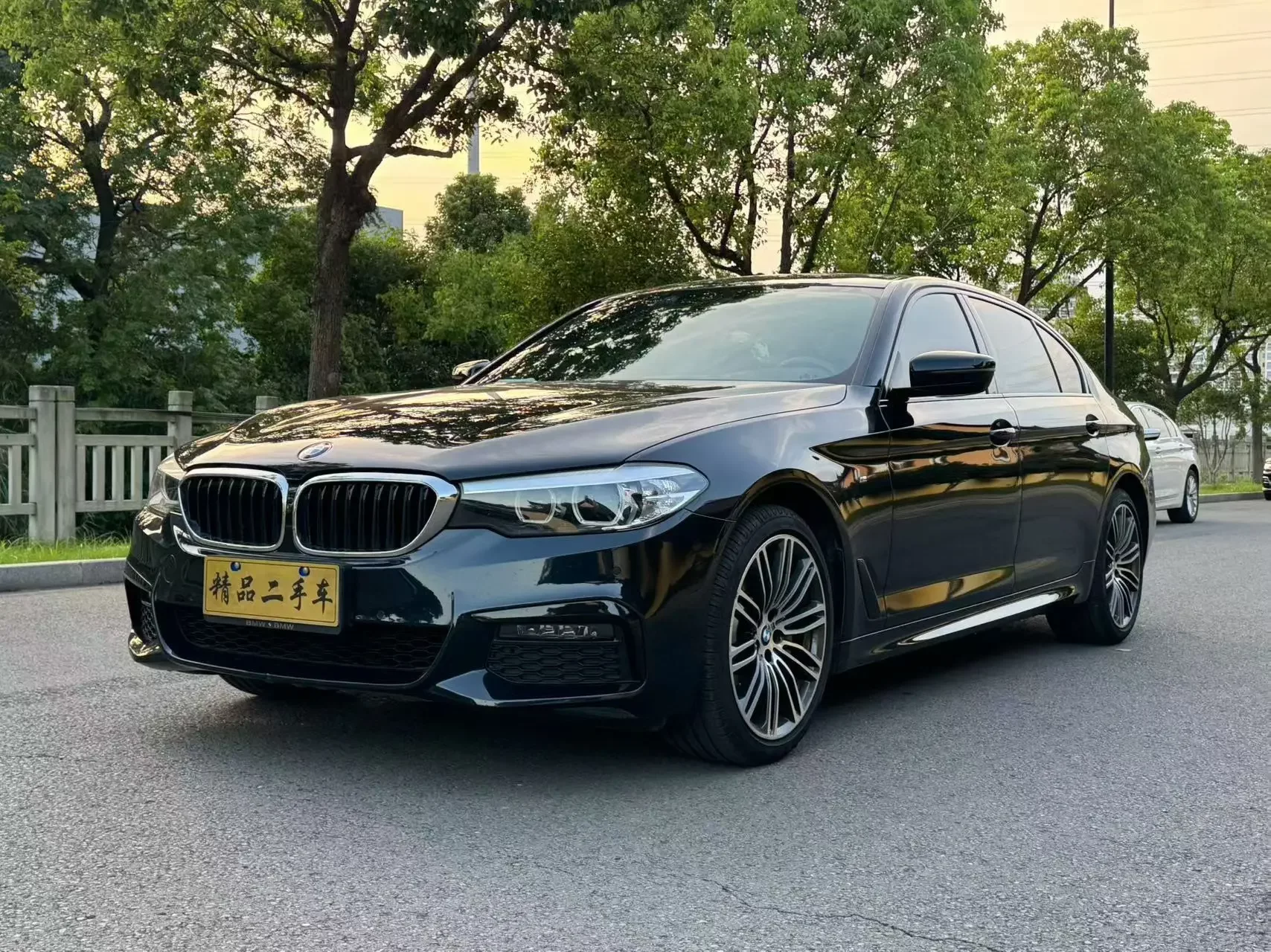 BMW 5 Series 2019