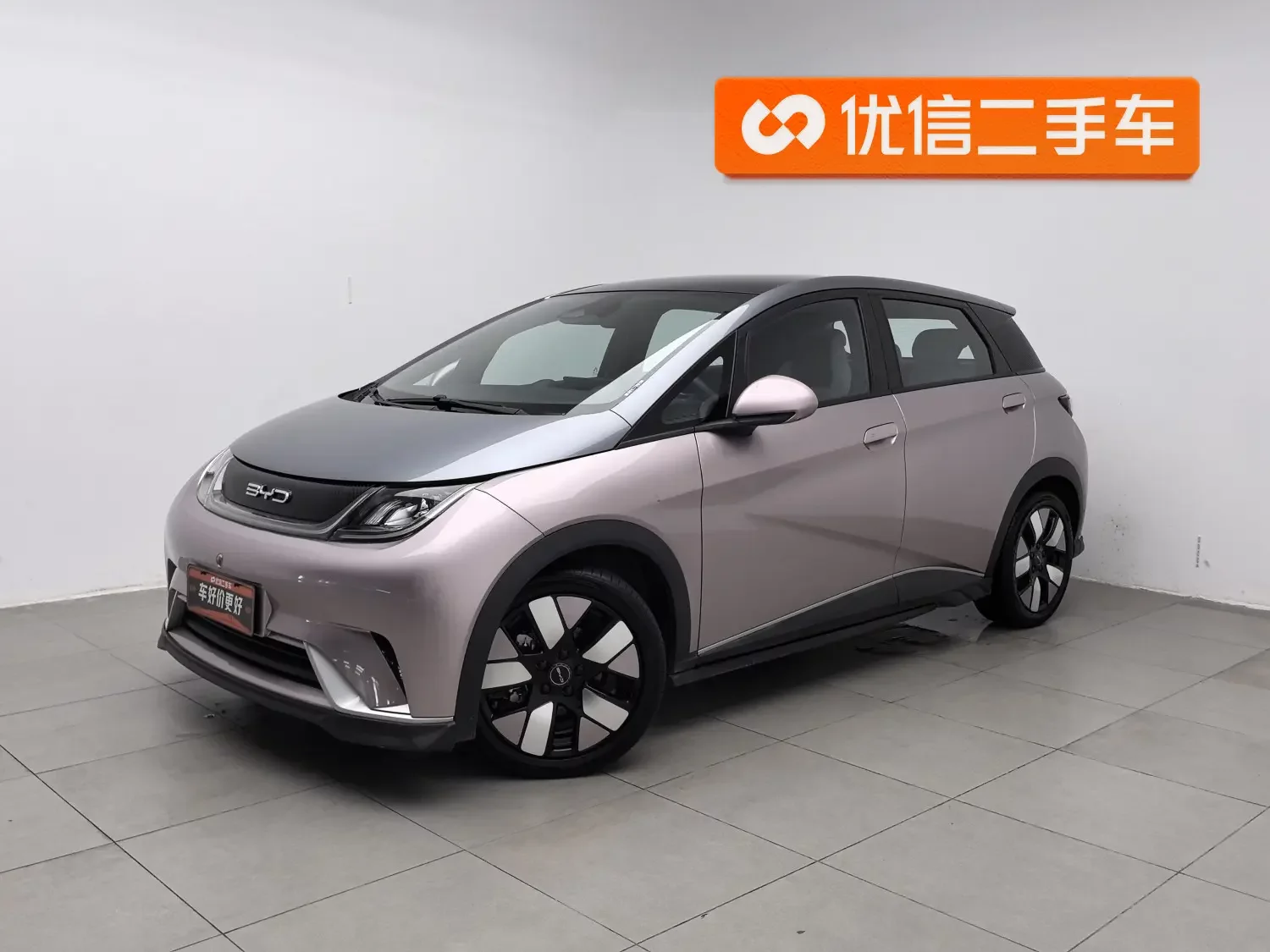 BYD dolphin