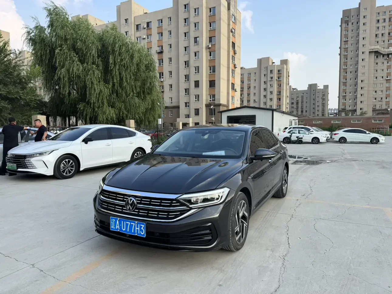 Volkswagen Sagitar