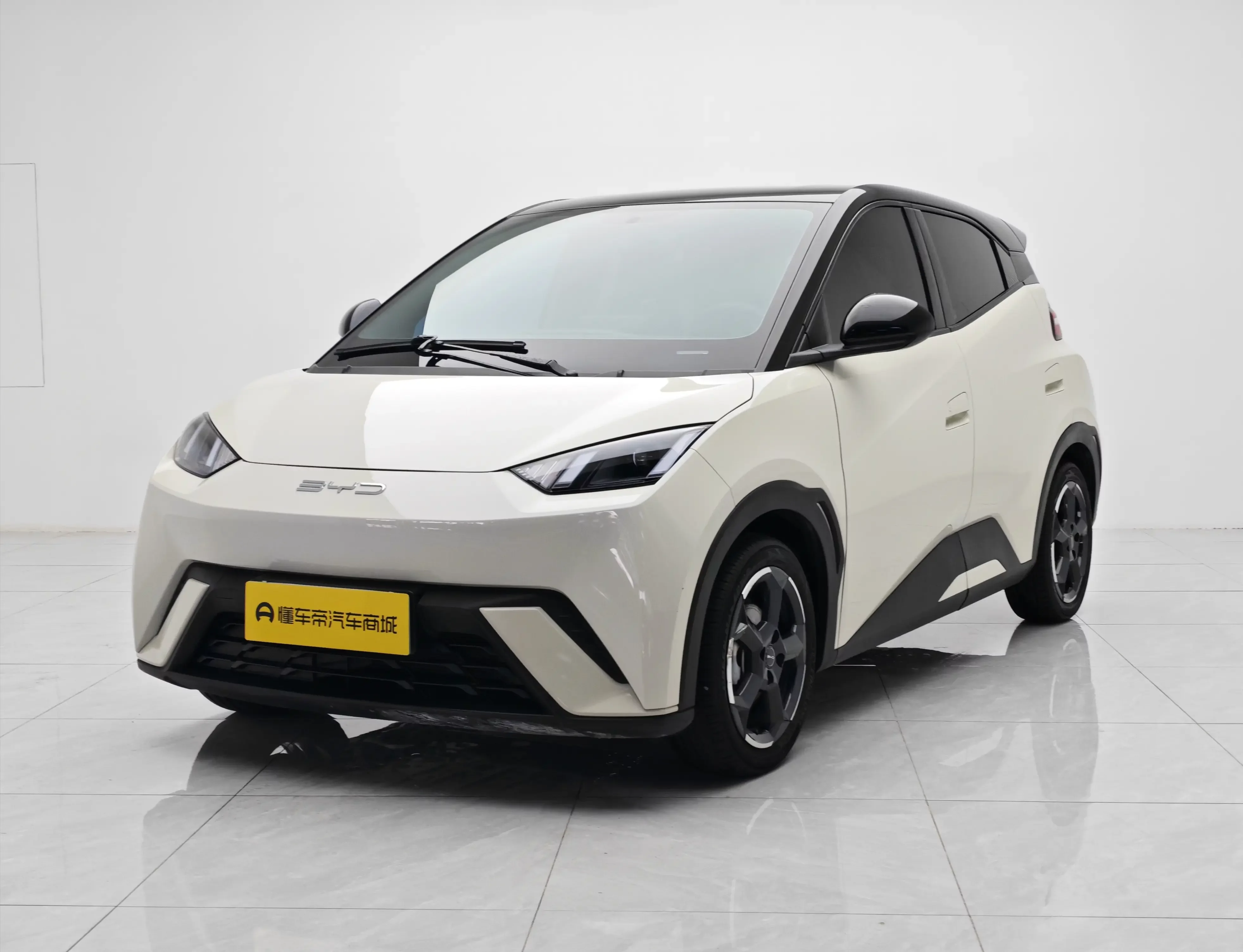 BYD seagull 2024