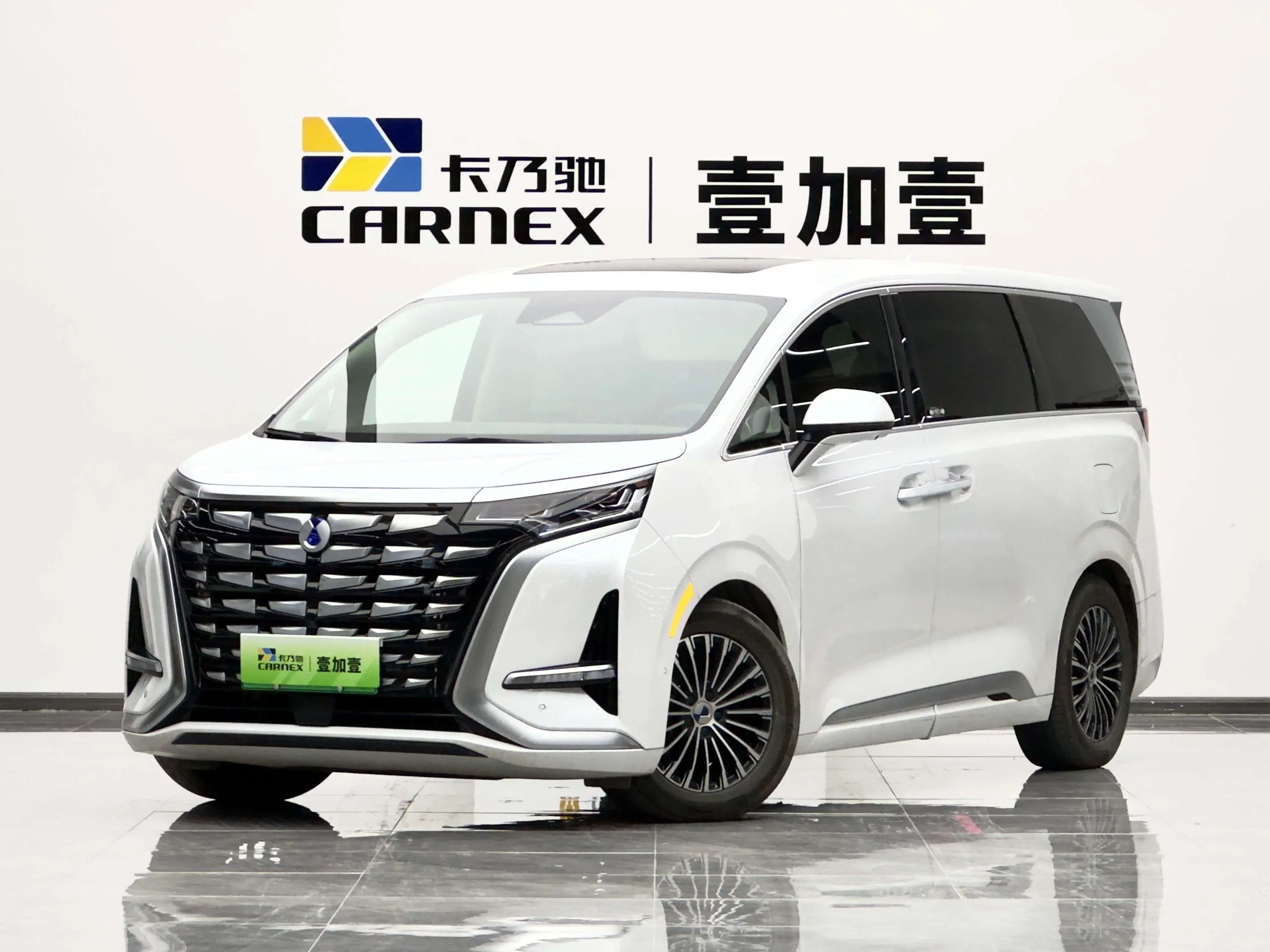Denza D9 DM