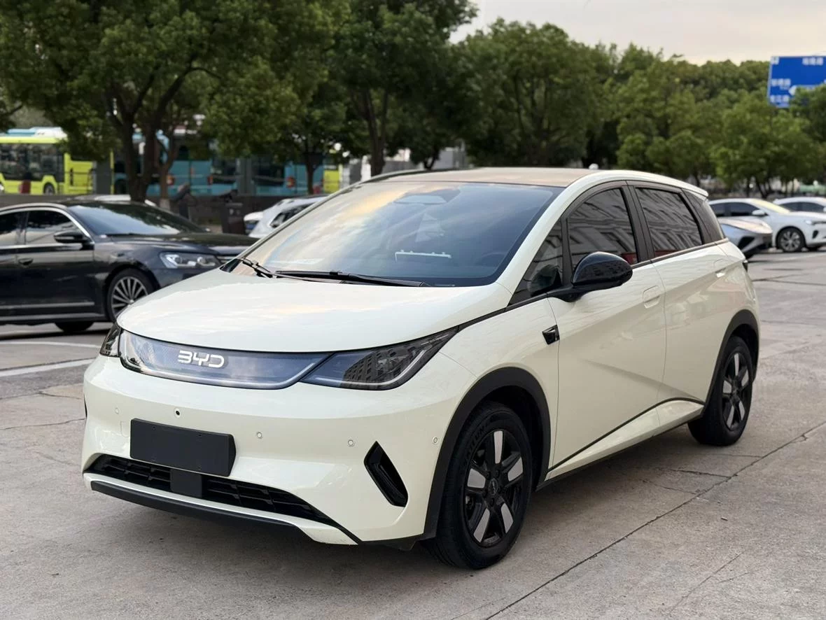 BYD dolphin
