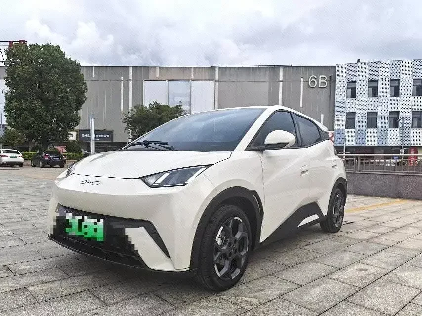 BYD seagull