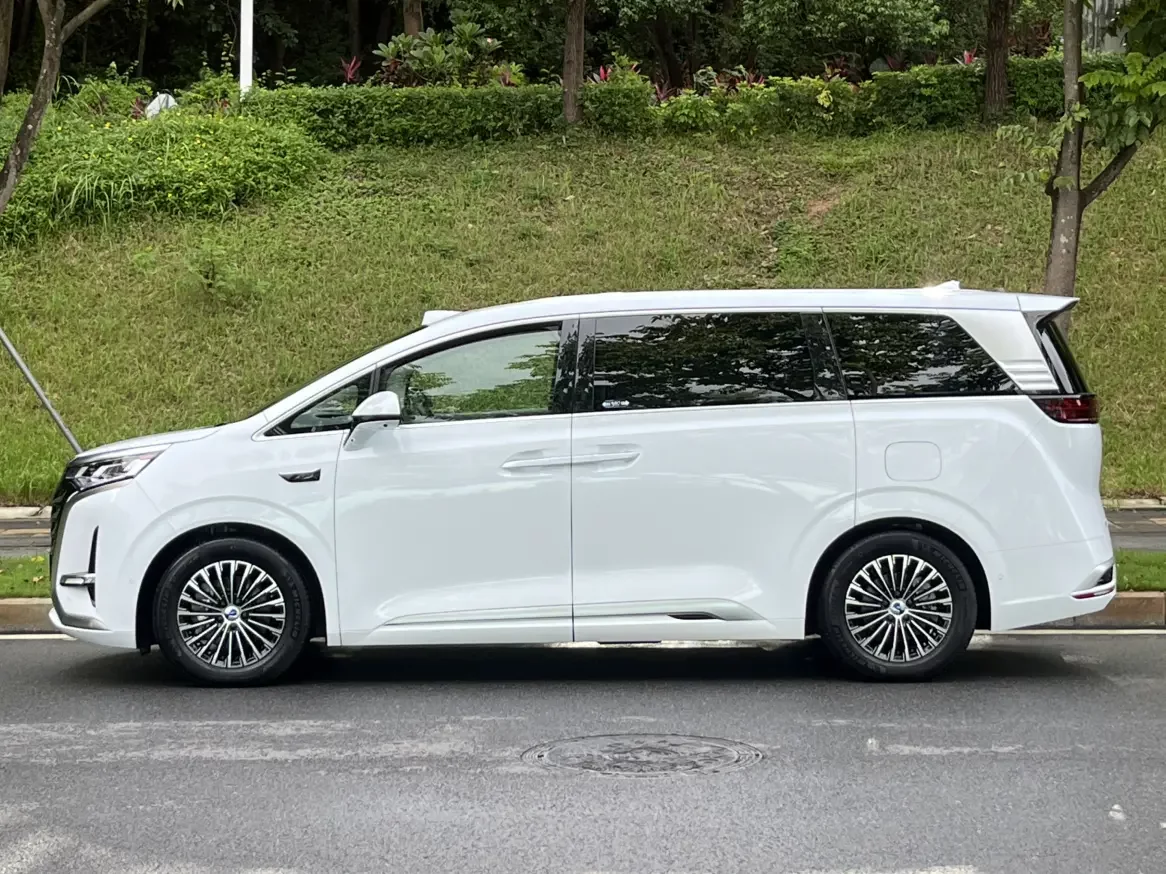 Denza D9 DM