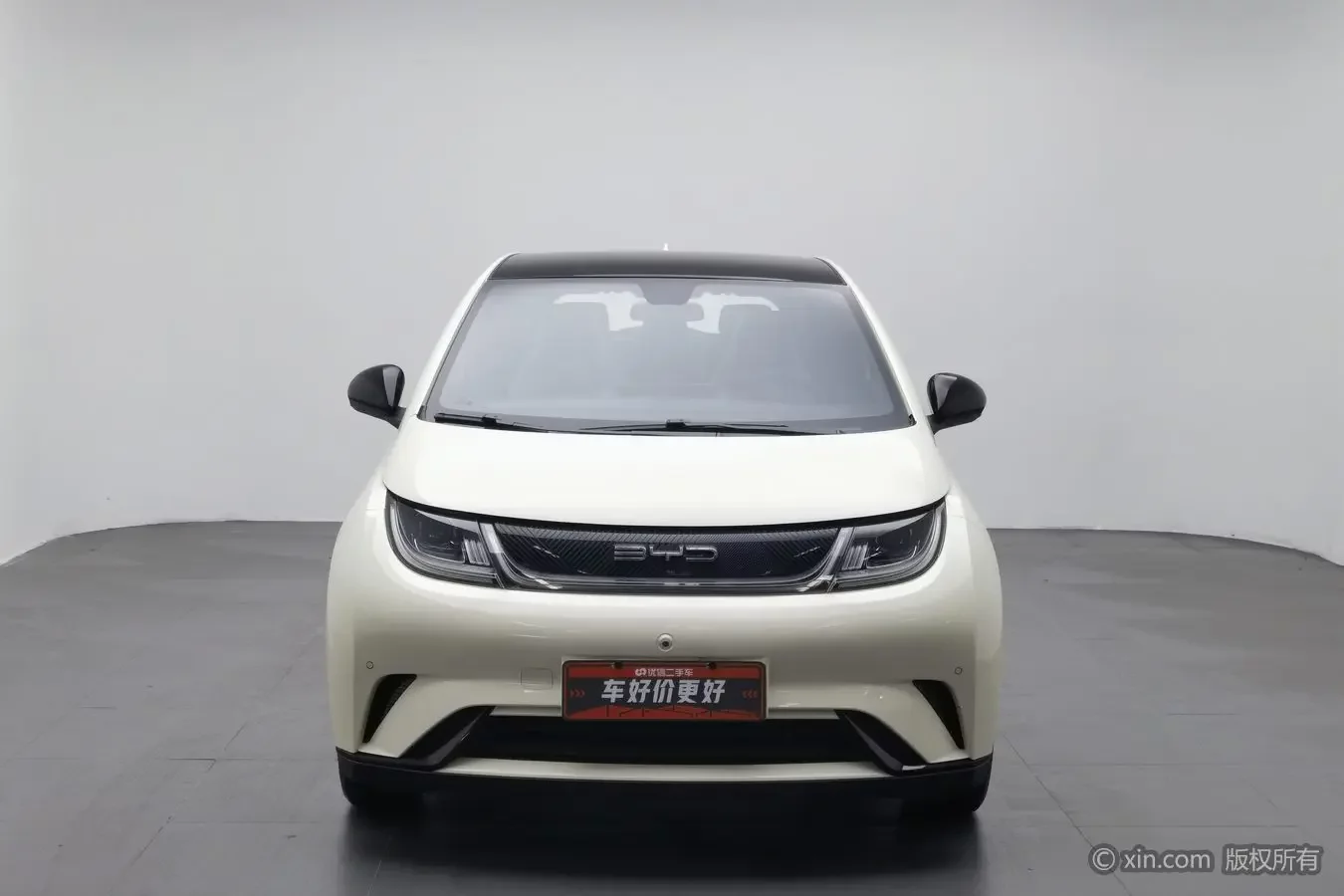 BYD dolphin