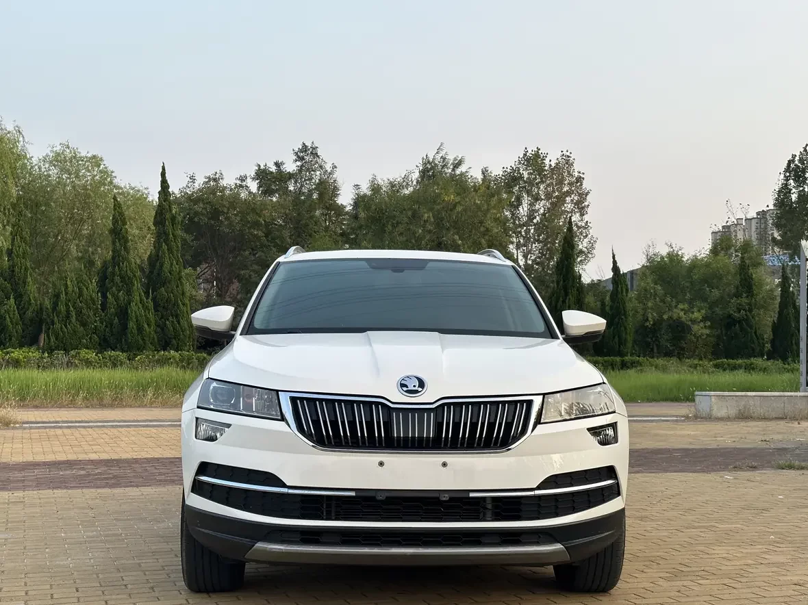 Skoda Karoq  из Китая