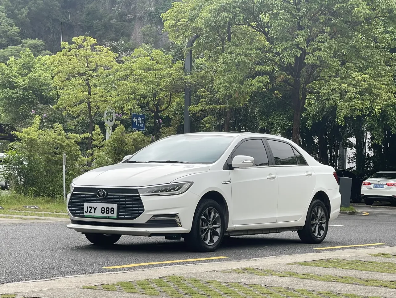BYD QinEV  из Китая