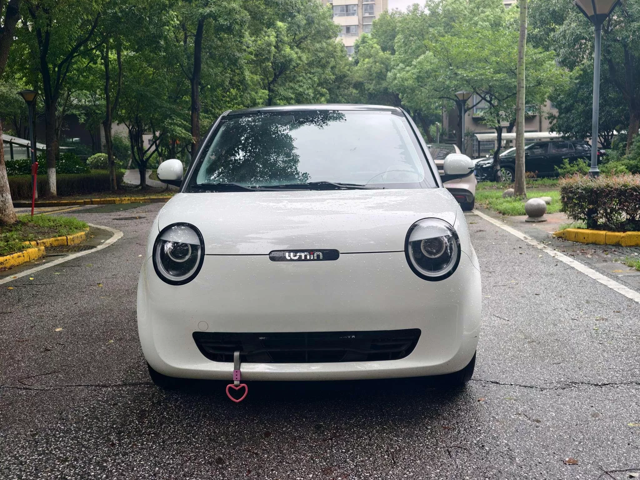 Changan Lumin