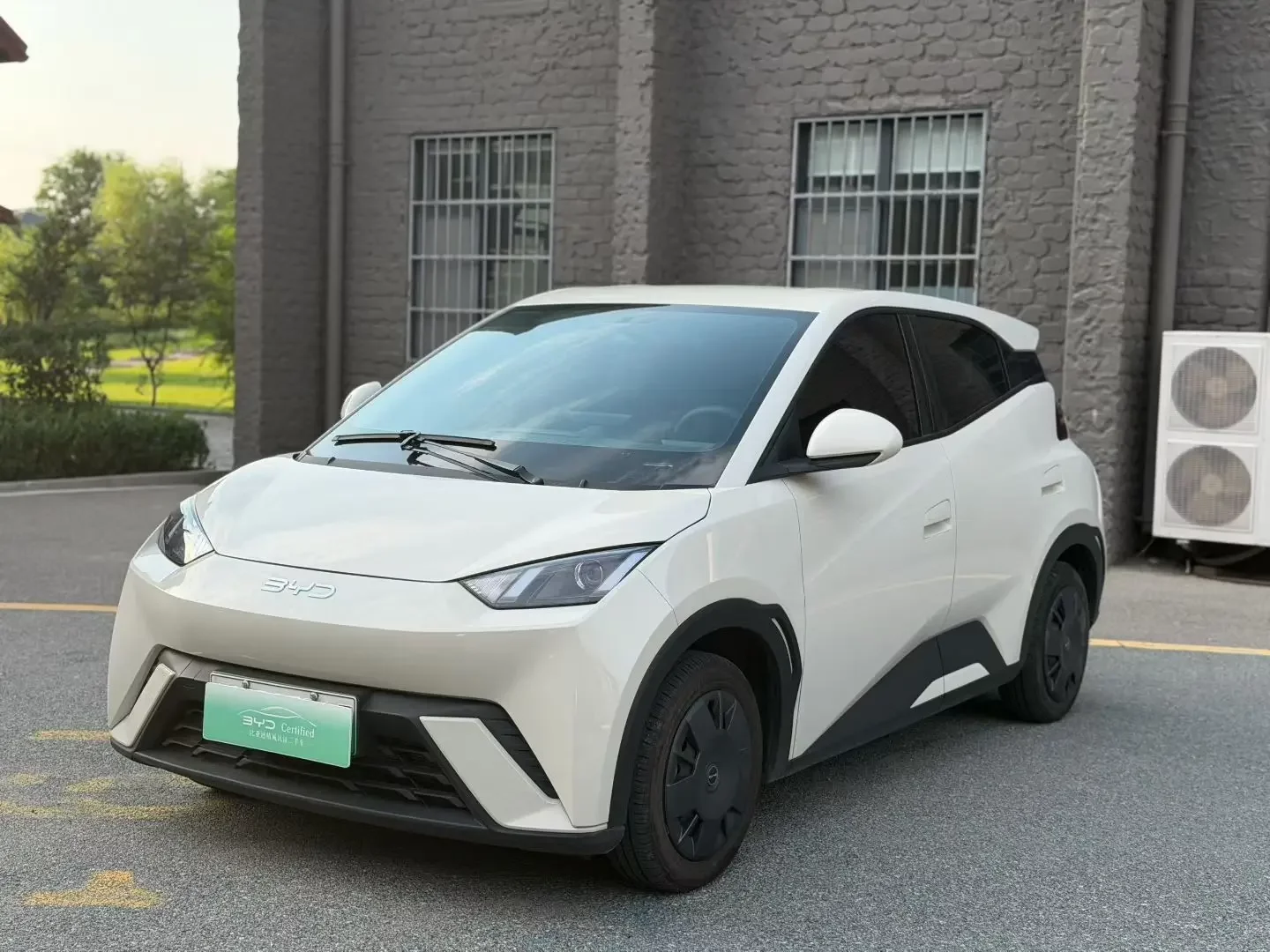 BYD seagull