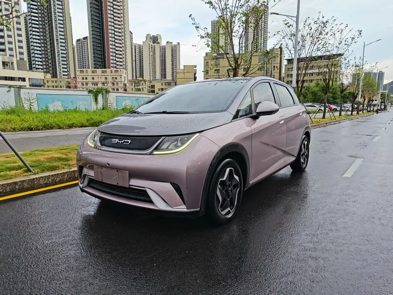 BYD dolphin 2022