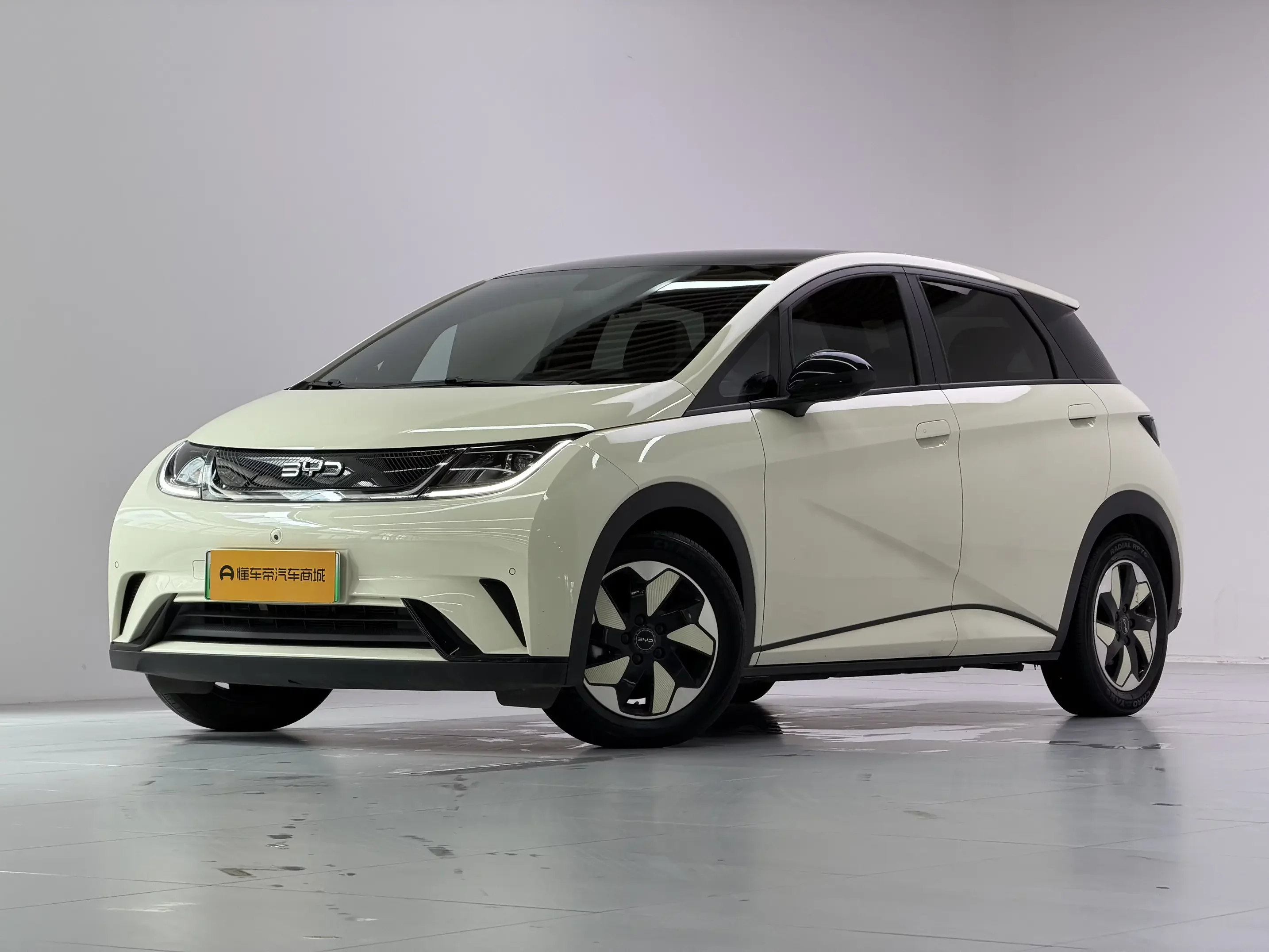 BYD dolphin 2024