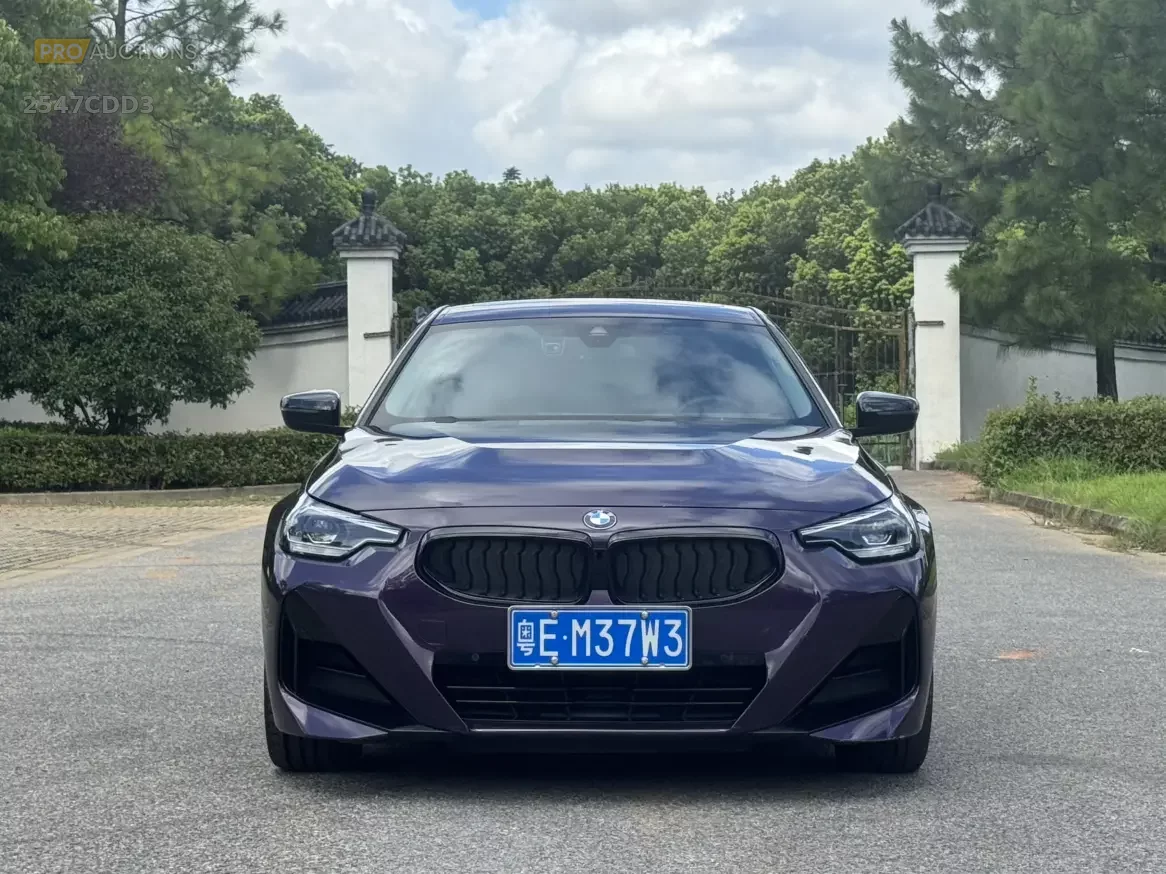 BMW 2 Series