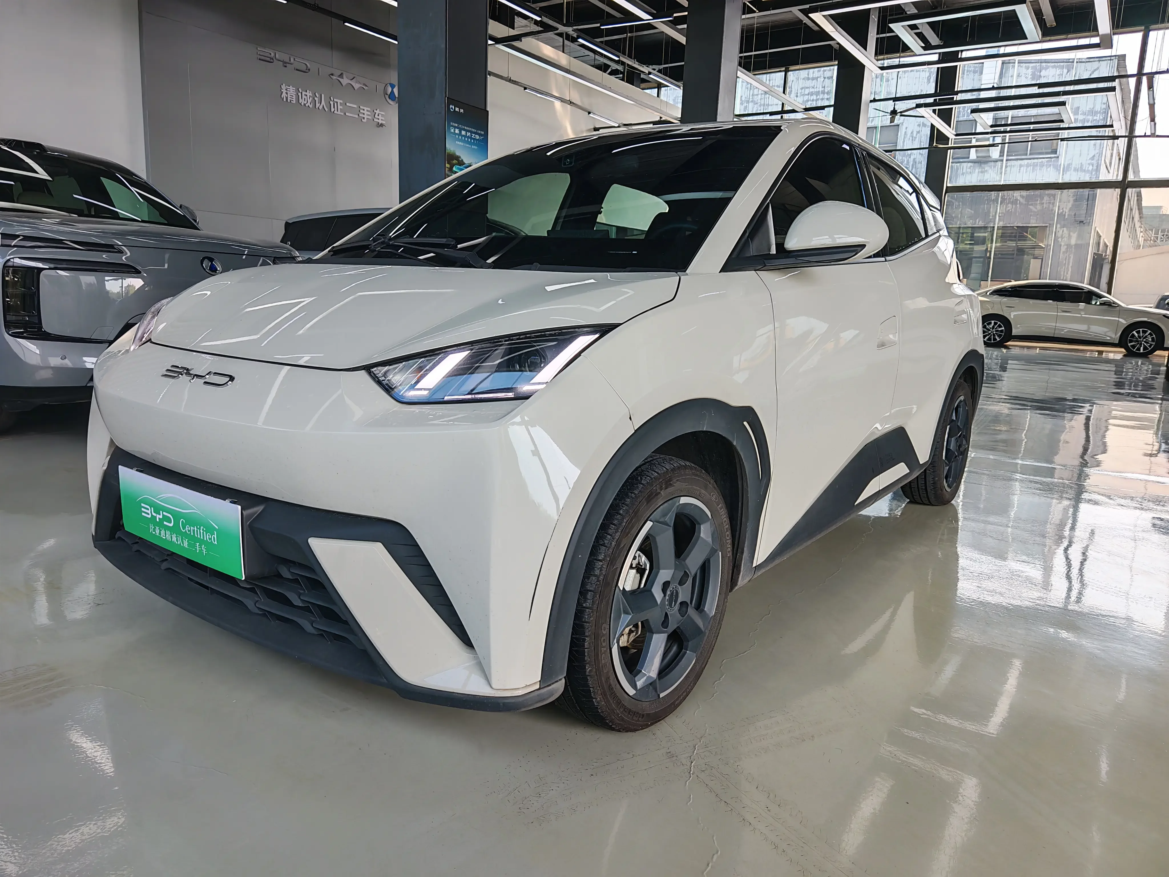 BYD seagull 2023