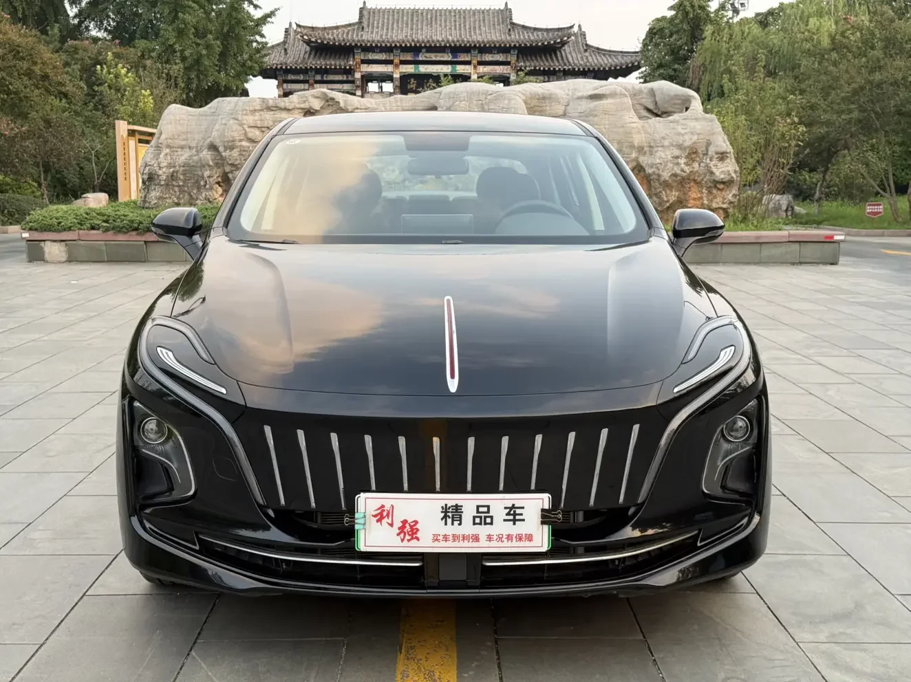 Hongqi E-QM5
